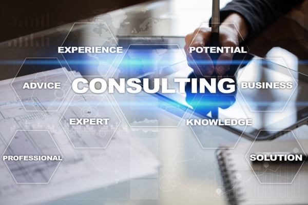 Bozeman Protechs technology consulting